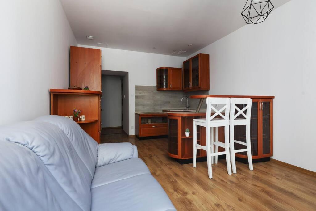 Przyjazny Apartament W Bedzinie Luaran gambar